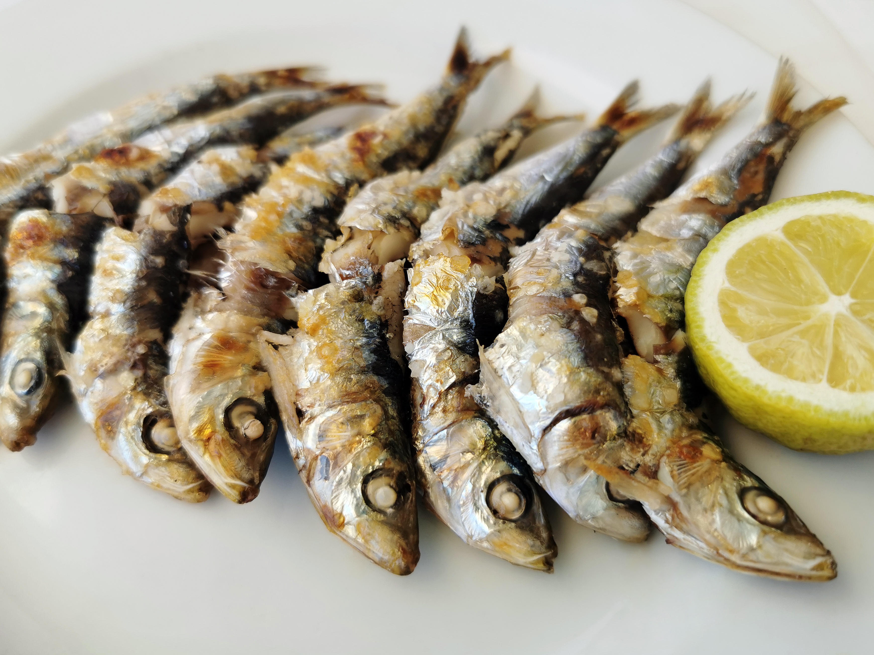 Sardinas